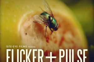 Wendy Rae Fowler’s Original Score to BBC Doc. FLICKER+PULSE Out March 31